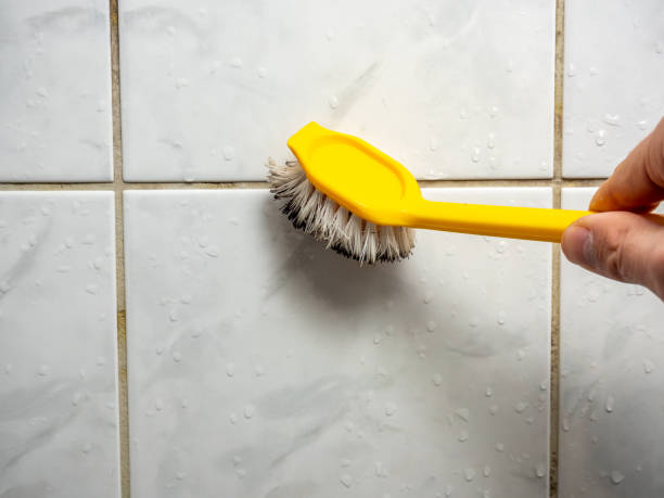 Best Localized Mold Remediation (e.g., coastal areas, humid climates) in Brookhaven, MS
